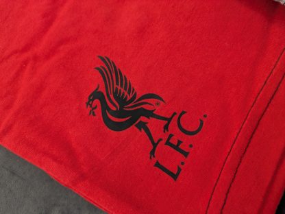 Liverpool FC 2 Pack Boys Loungewear Shorts - Red & Grey - Image 3